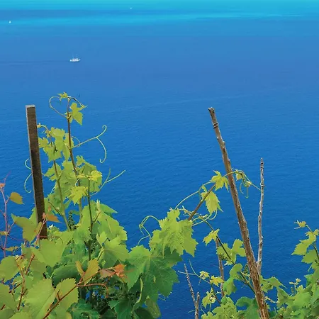 Beautiful In With Wifi Daire *