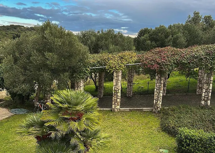 Beautiful In With Wifi 特尔帕尼