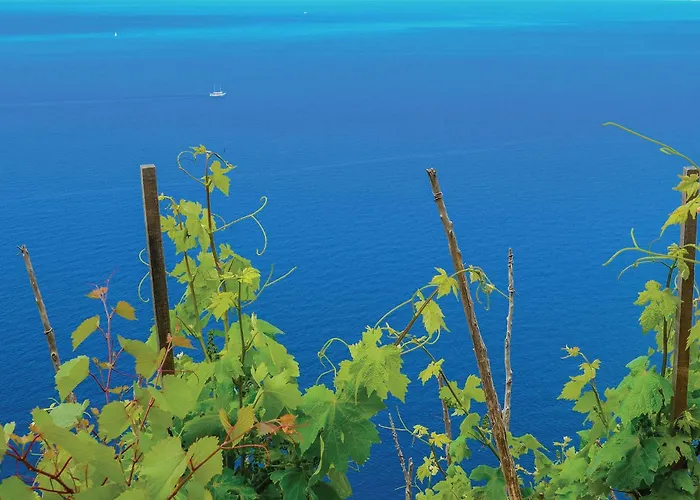 Beautiful In With Wifi 公寓 *