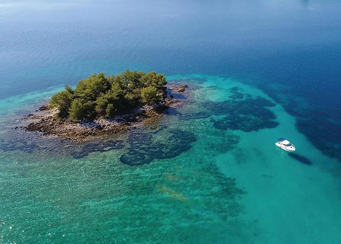 Beautiful In With Wifi 特尔帕尼